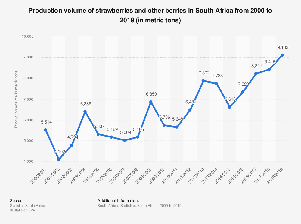 Statistic: Production volume of strawberries and other berries in South Africa from 2000 to 2019 (in metric tons) | Statista