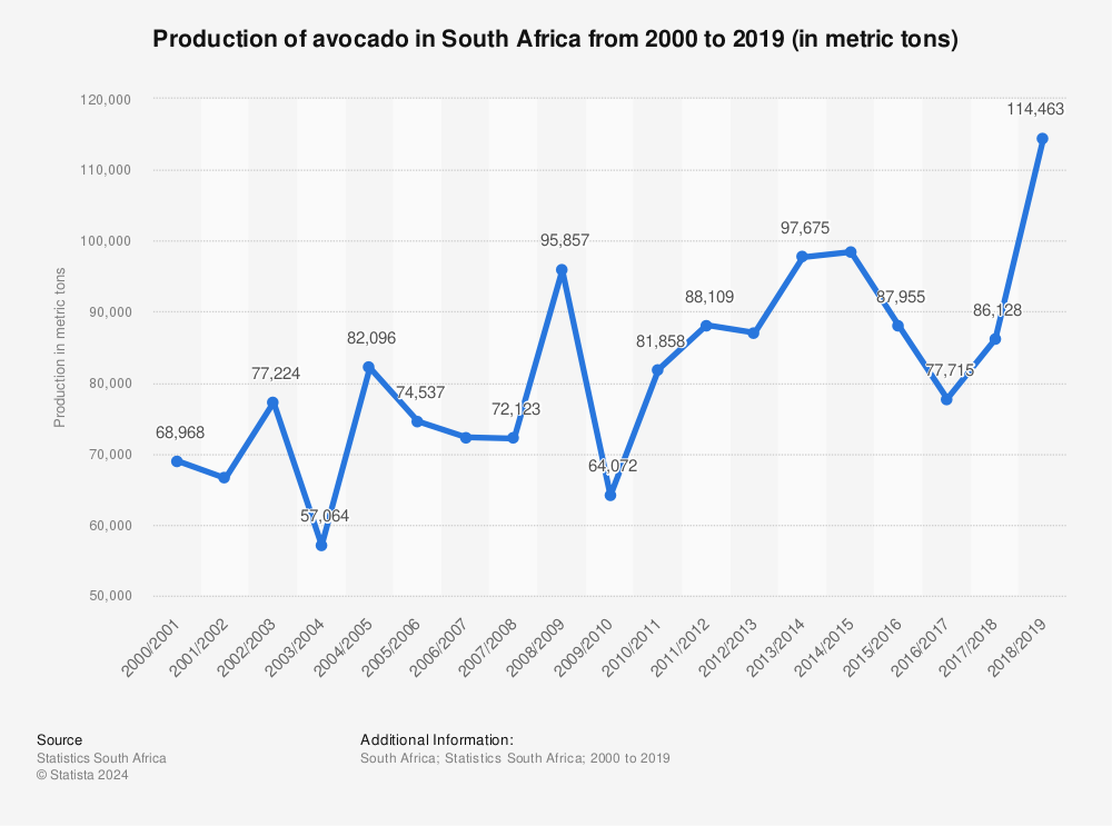 Statistic: Production of avocado in South Africa from 2000 to 2019 (in metric tons) | Statista