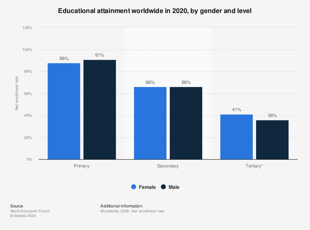 Statistic: Educational attainment worldwide in 2020, by gender and level | Statista