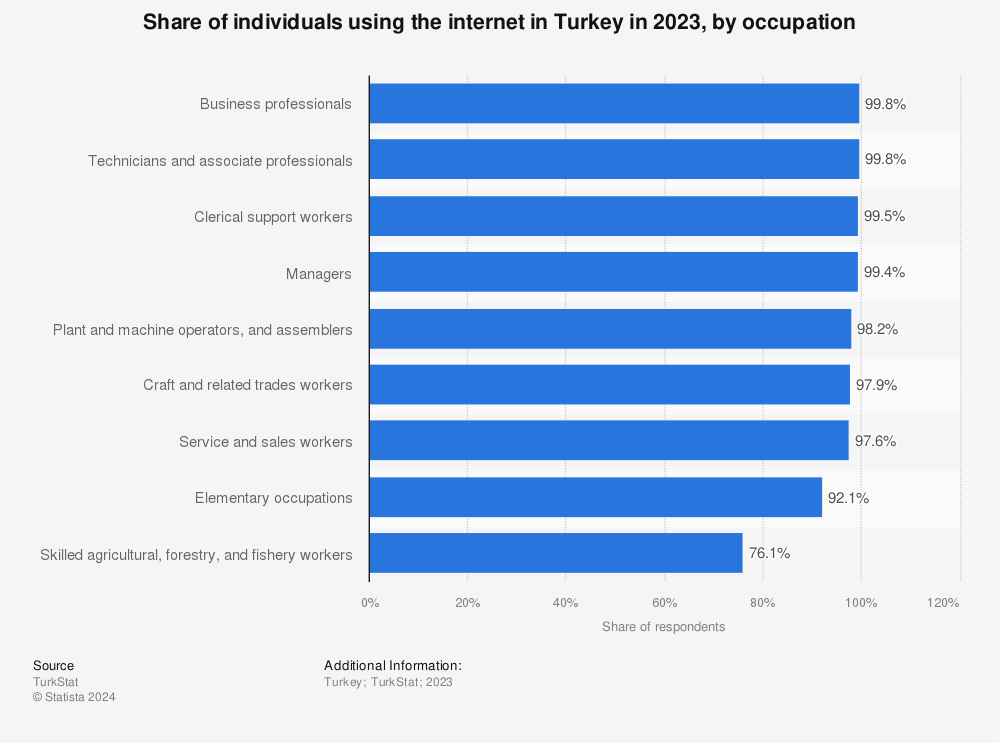 Statistic: Share of individuals using the internet in Turkey in 2022, by occupation | Statista