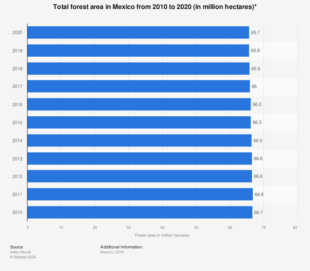 Statistic: Total forest area in Mexico from 2010 to 2025 (in million hectares)* | Statista