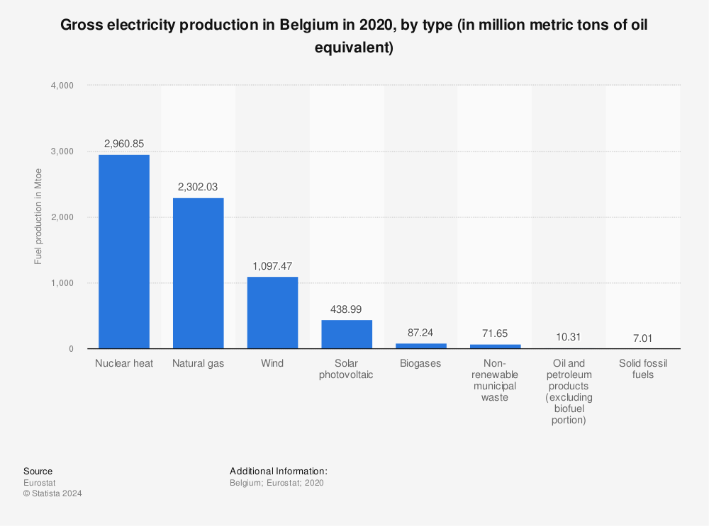 Statistic: Gross electricity production in Belgium in 2020, by type (in million metric tons of oil equivalent) | Statista
