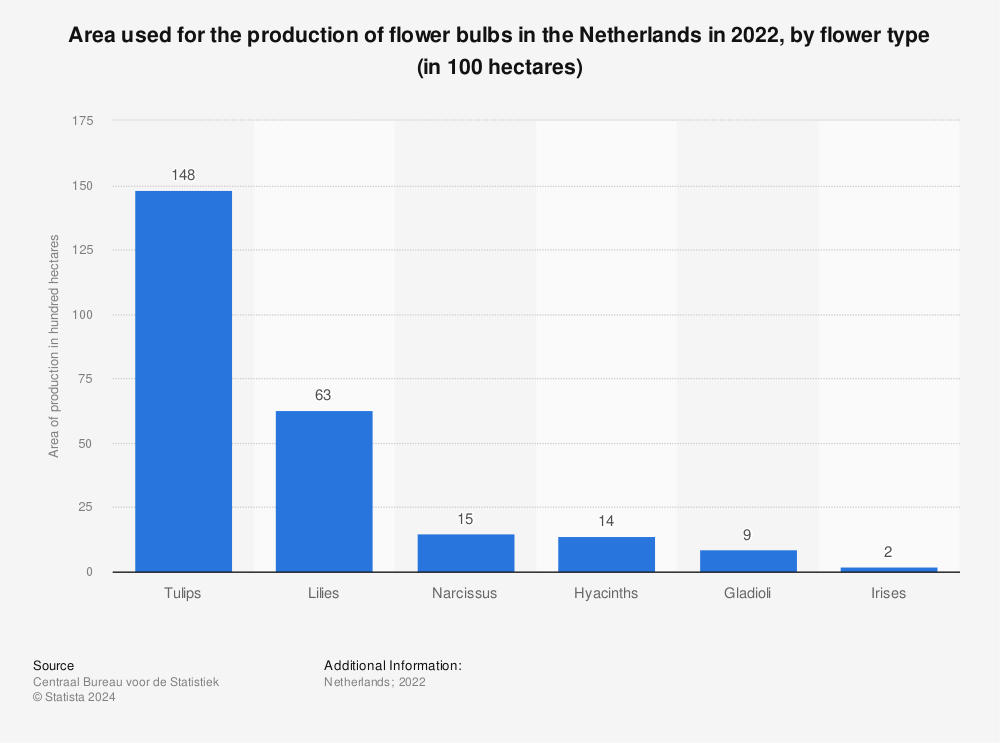 Statistic: Area used for the production of flower bulbs in the Netherlands in 2021, by flower type (in 100 hectares) | Statista