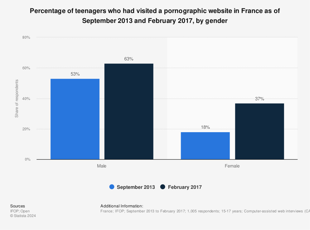 Statistic: Percentage of teenagers who had visited a pornographic website in France as of September 2013 and February 2017, by gender | Statista